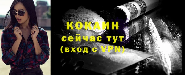 шишки Абаза