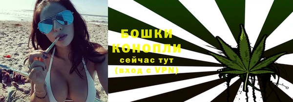 шишки Абаза
