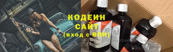 шишки Абаза
