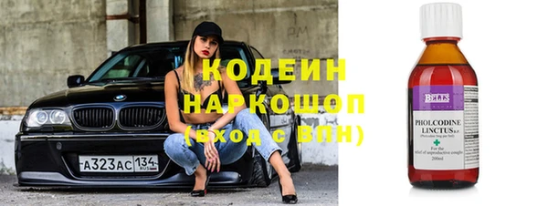 шишки Абаза