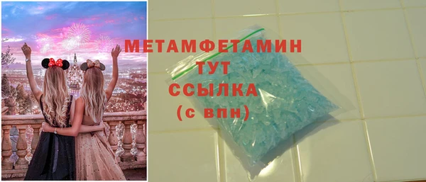шишки Абаза