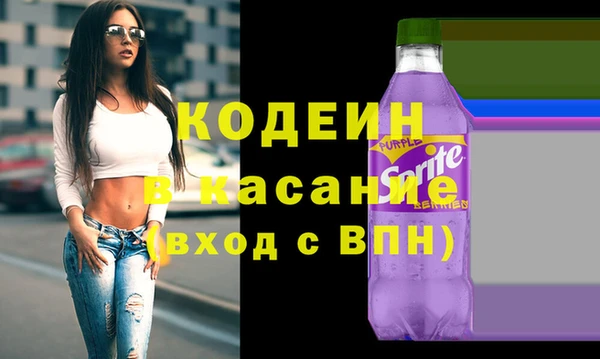 шишки Абаза