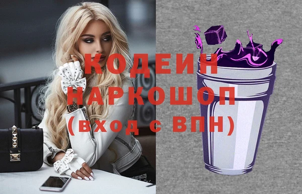 шишки Абаза