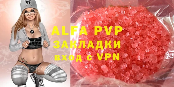шишки Абаза