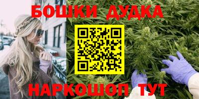 МДПВ Лесосибирск