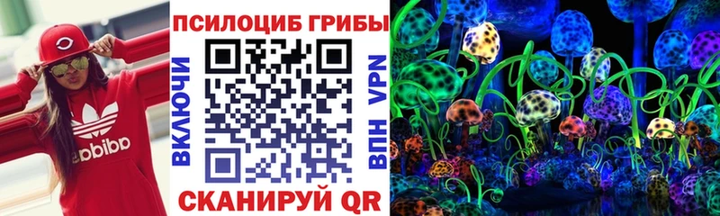 Псилоцибиновые грибы Magic Shrooms Красный Сулин