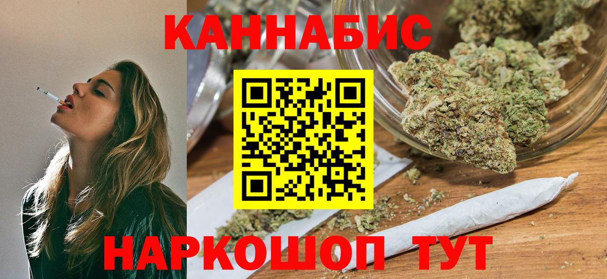 Каннабис планчик Красный Сулин